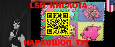 стаф Славгород