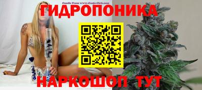 гидропоника Сланцы