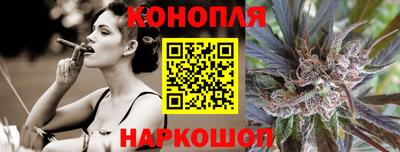 гидропоника Сланцы