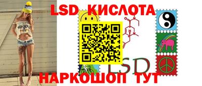 гидропоника Сланцы