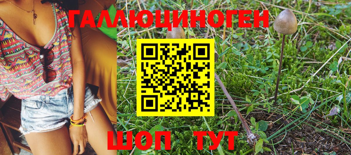 Галлюциногенные грибы GOLDEN TEACHER Новокубанск