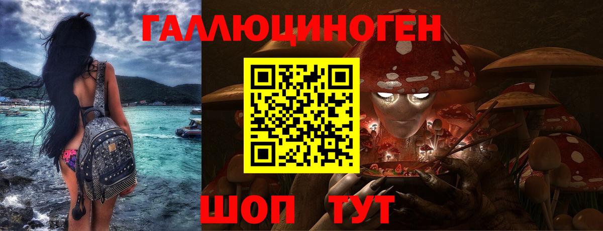 Псилоцибиновые грибы Psilocybine cubensis  купить наркоту  Новокубанск  Вход с VPN 
