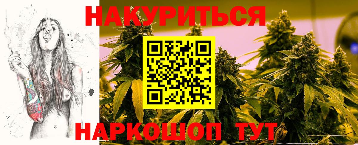 Канабис планчик Новокубанск